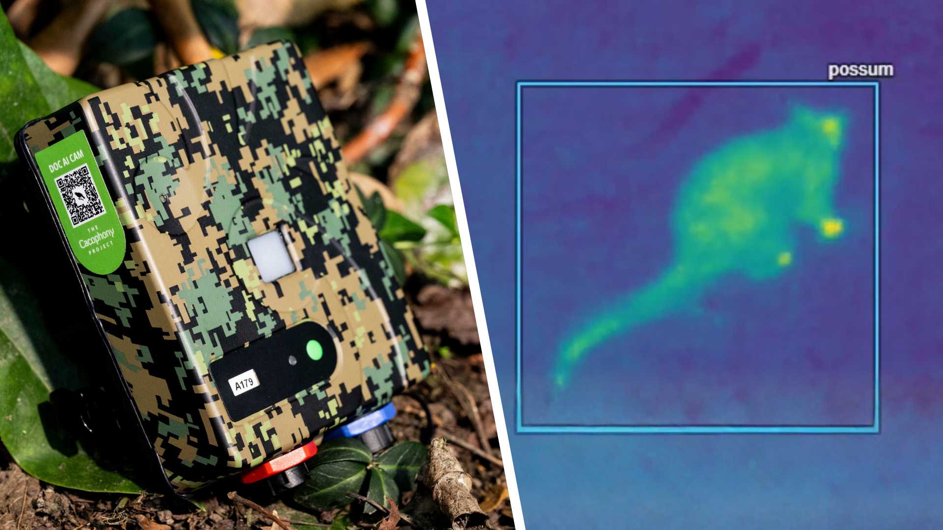The DOC AI Cam with an inset false colour night image of a possum