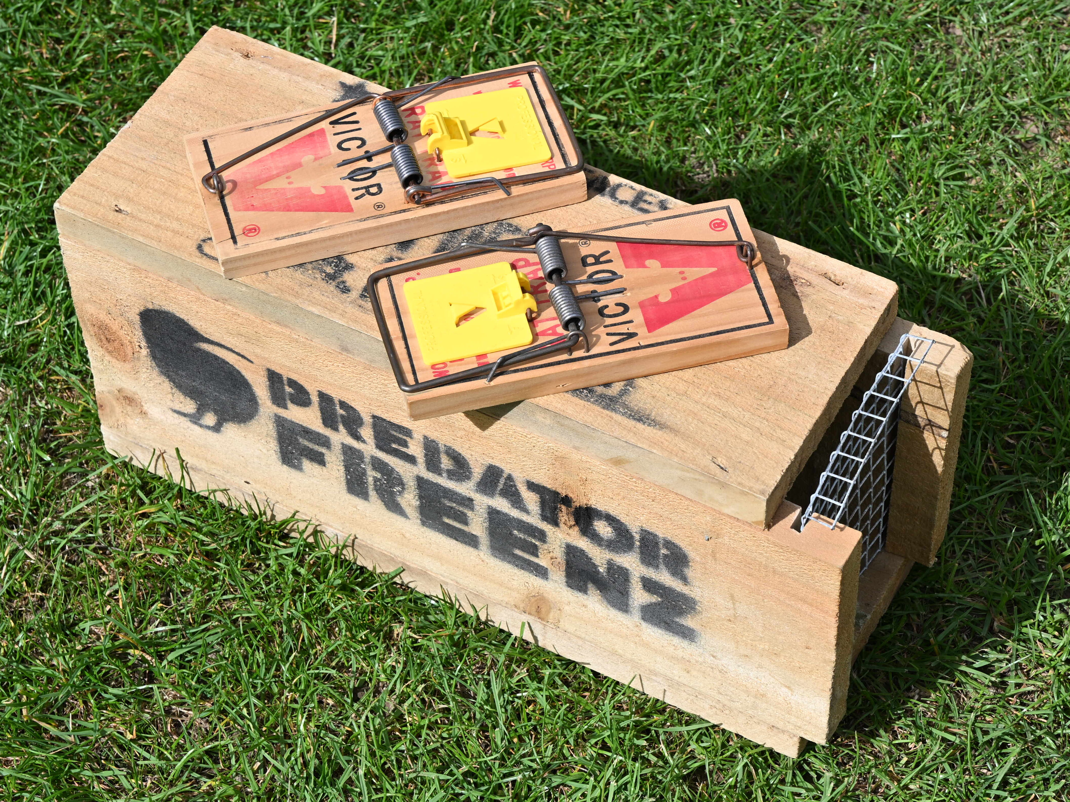 The Victor Professional trap with tunnel.
