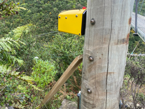 Flipping Timmy possum trap on a post with a ramp