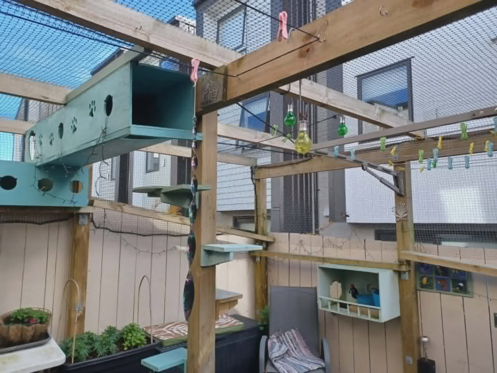 Inside a catio