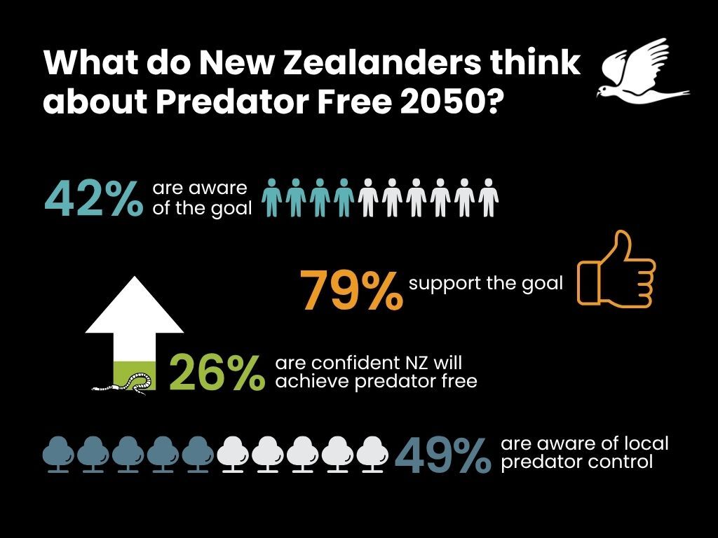 Infographic summarising the numbers in the article.