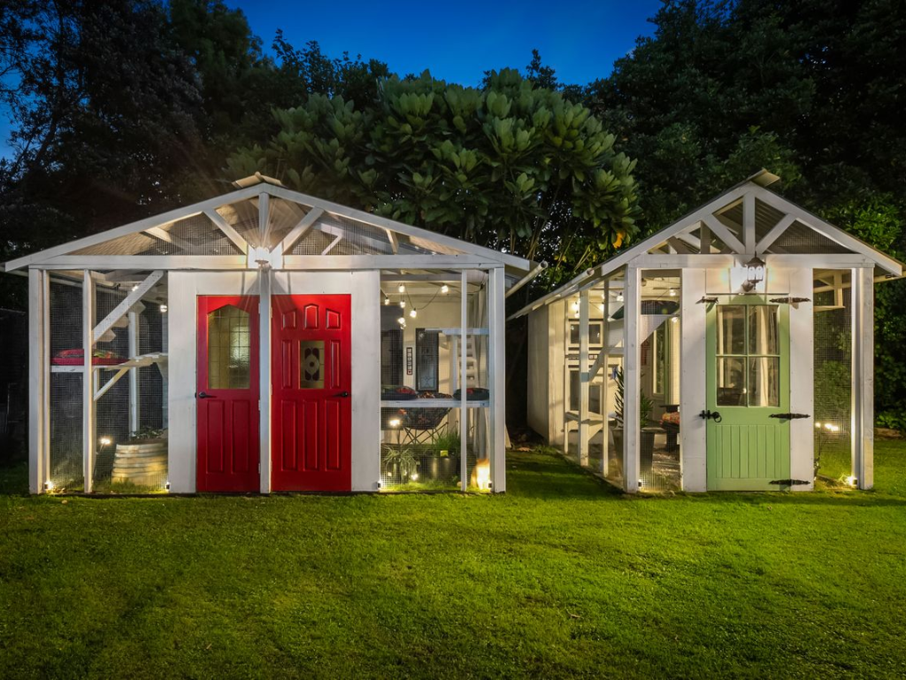 Two catio chalets in a backyard