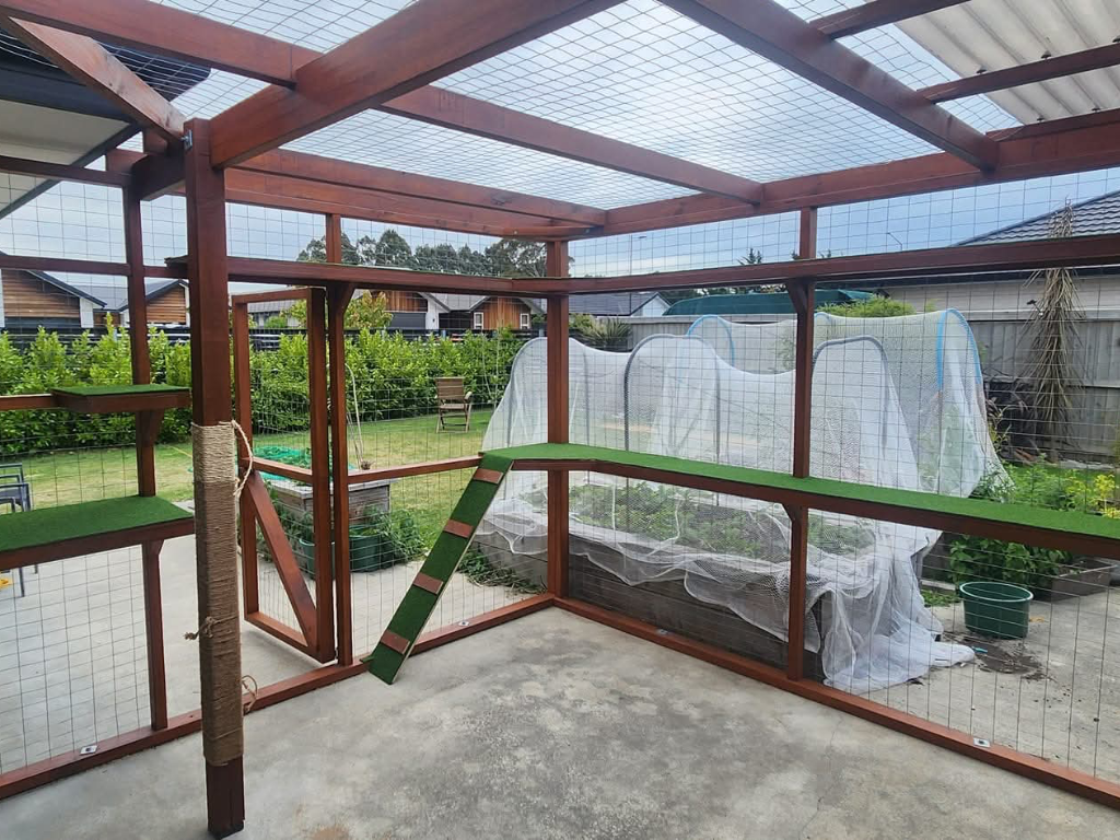 Wooden planks as perches inside a catio
