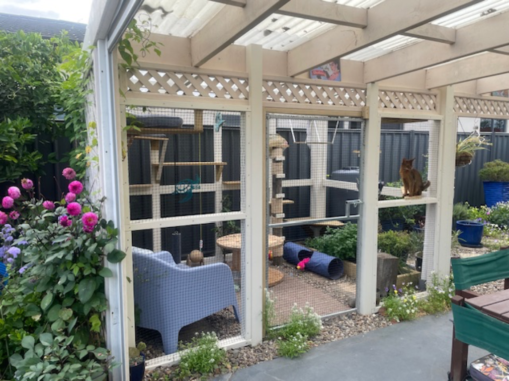 A catio