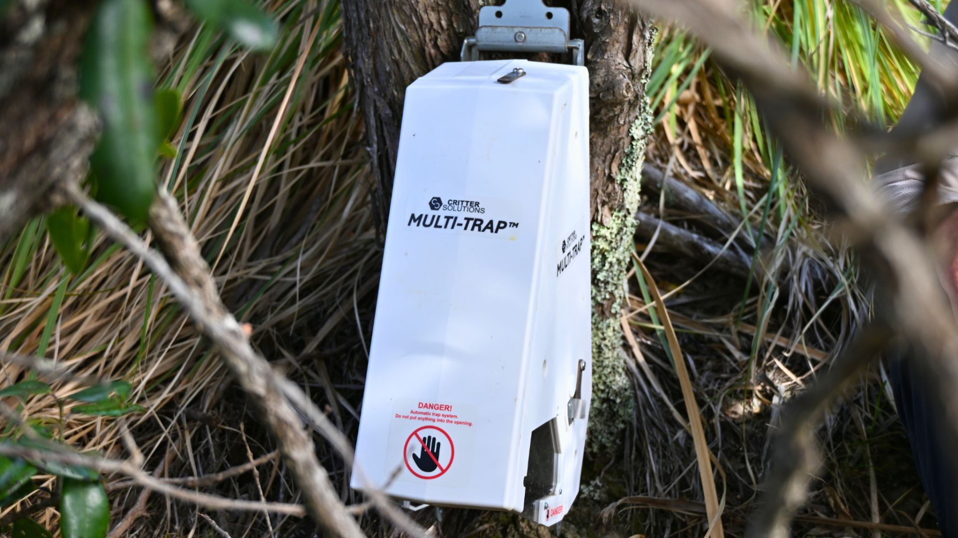 A white plastic trap attached to a tree