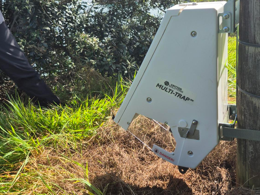 A white plastic trap attached to a tree