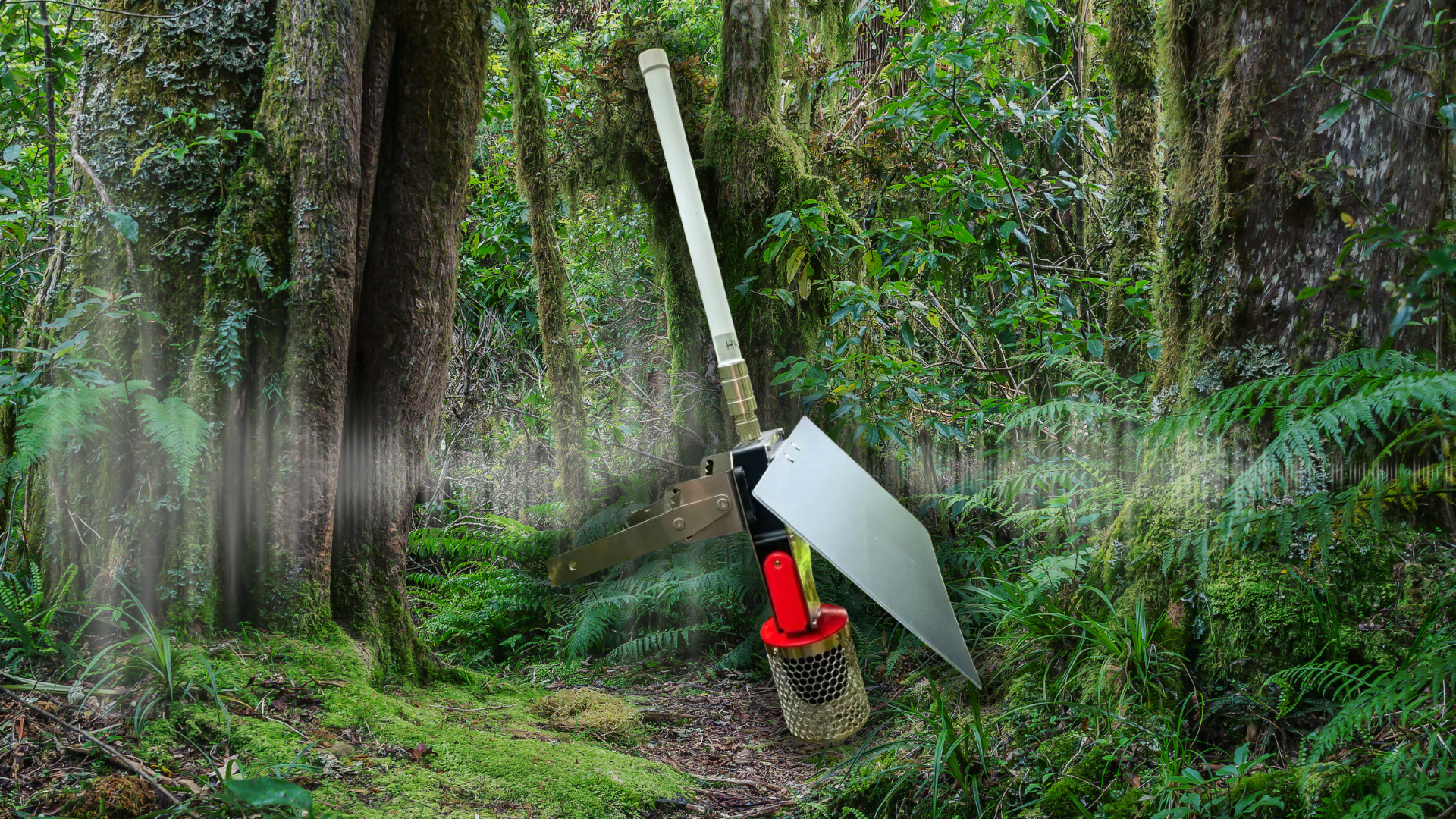 A bush background with a microphone laid over the image.