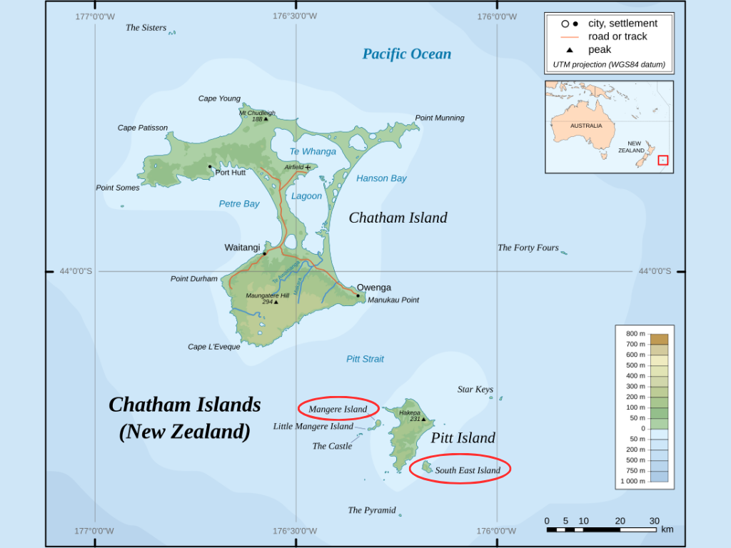 Map showing the two offshore islands, northeast and southeast of Pitt Island in the Chatham Islands