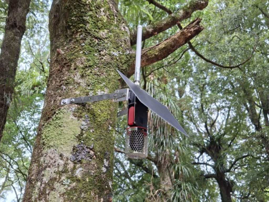 A microphone hanging from a tree in the bush.