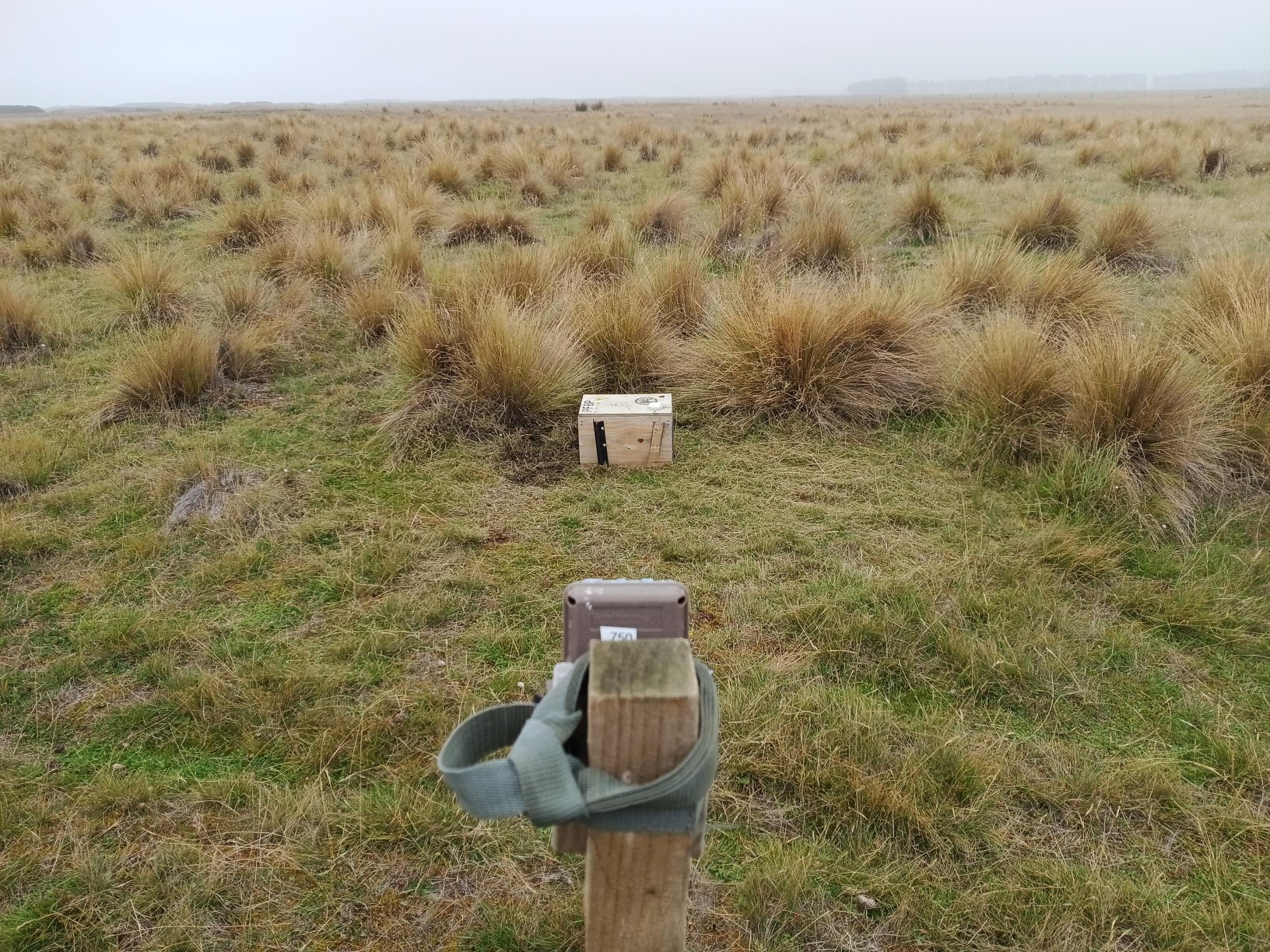 Photo of a trail camera set up looking at a wooden box as an example of how to set it up.
