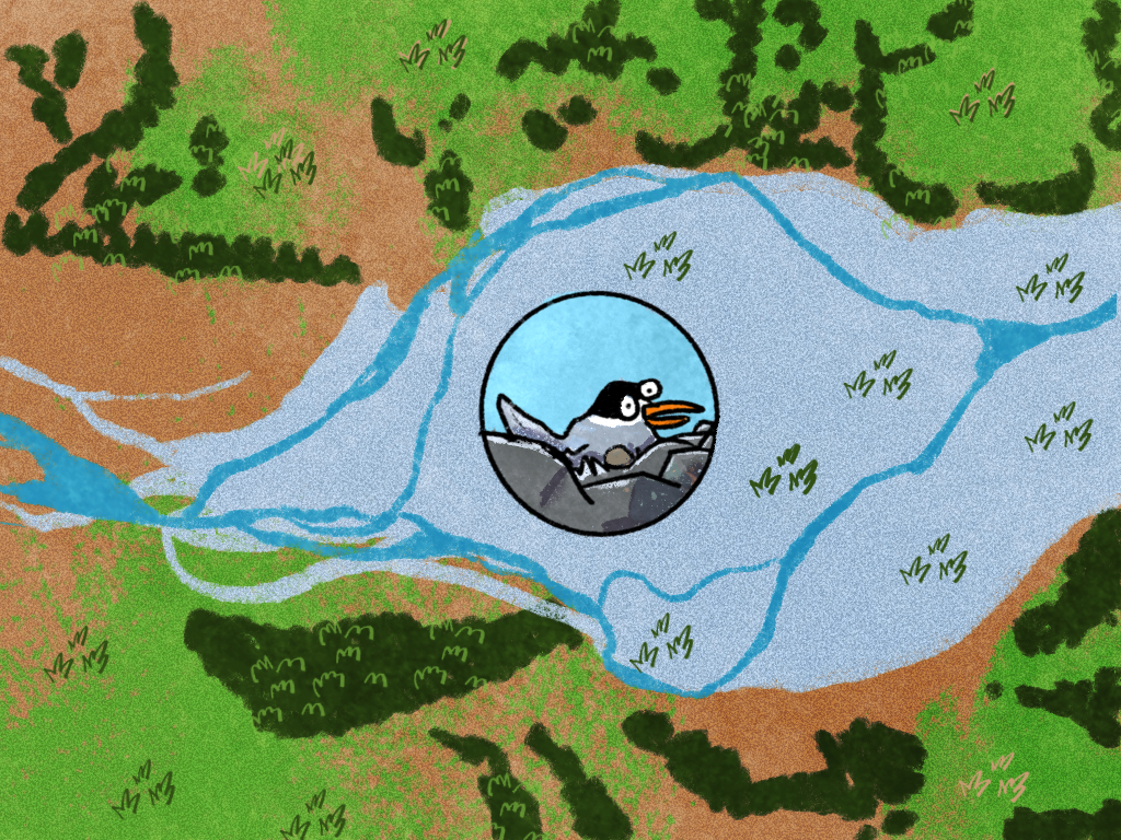 Illustration of a tern nesting on a breaded river