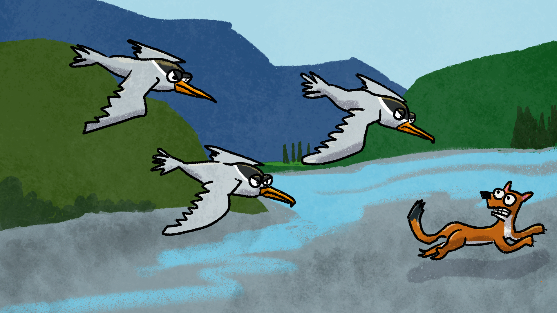 Illustration of three terns diving at a stoat