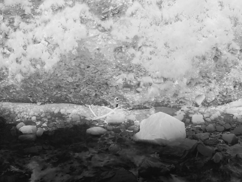 Image from a drone camera