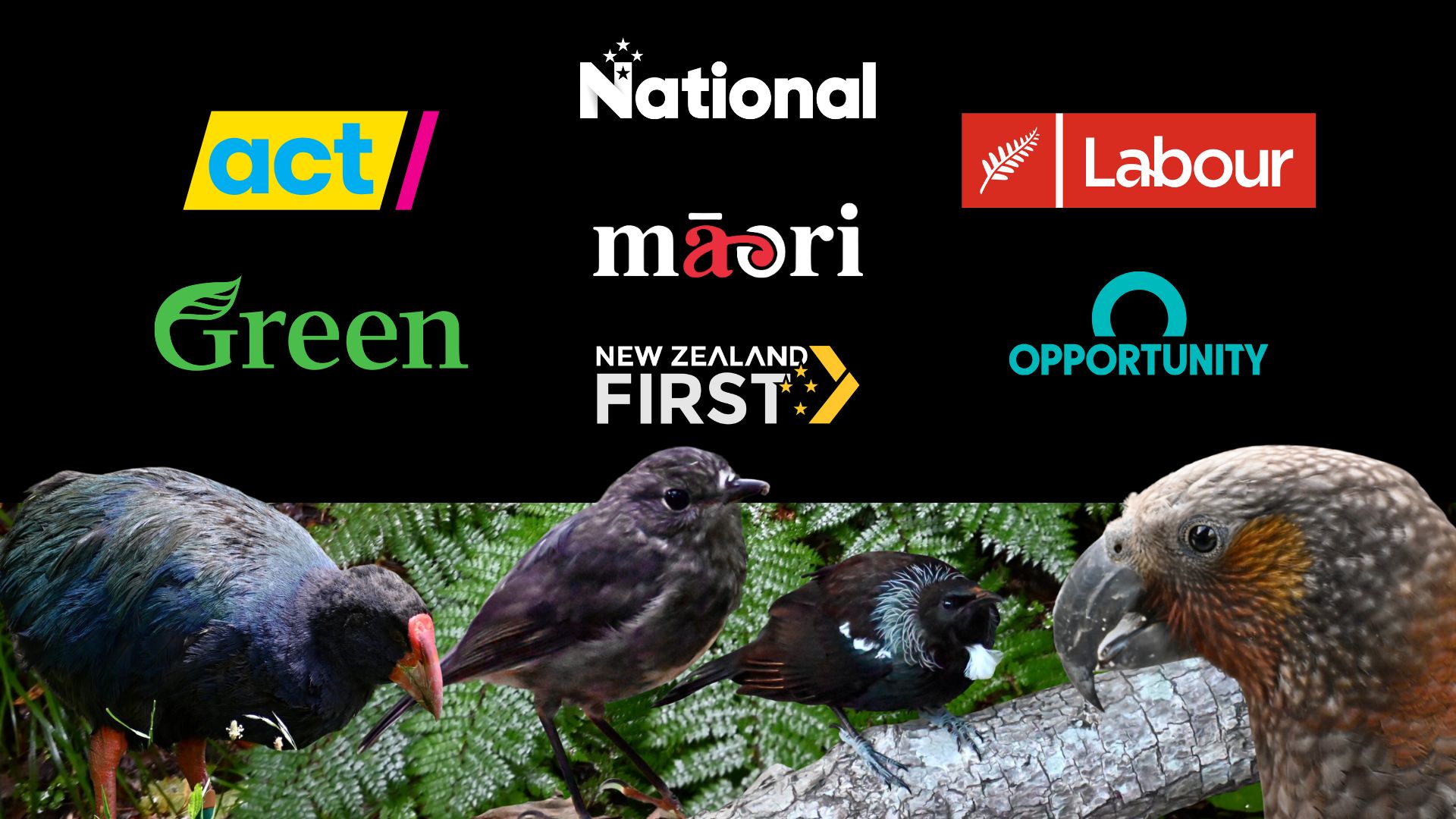 Election 2026: What do the parties think about Predator Free 2050?